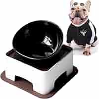 小物 CHALLENGER FTC CHALLENGER DOG BOWL CHALLENGER チャレンジャー 通販 19SS FTC×CHALLENGER DOG BOWL